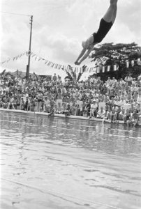 Schoonspringen, Bestanddeelnr 197-4-5