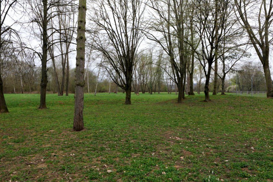 Schoolyard Henry-Benrath-Schule Friedberg 2021-04-02 02