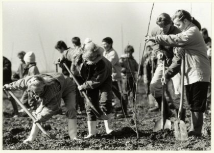 Schoolkinderen uit Halfweg en Spaarndam planten de eerste bomen van het Houtrakbos. NL-HlmNHA 54031775