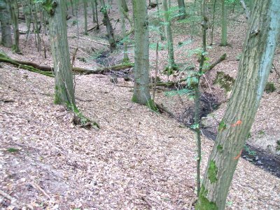 Schiefertalbach Mäander im Kerbtal