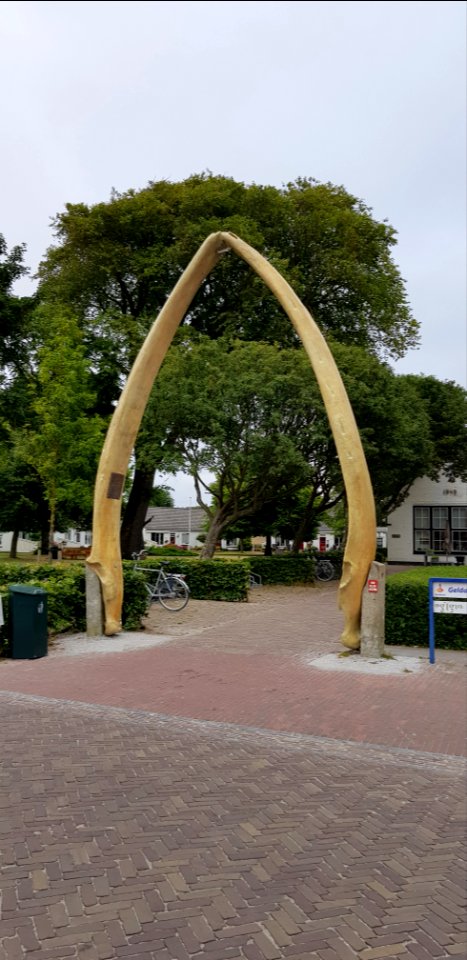 Schiermonnikoog-Walviskaken (1)