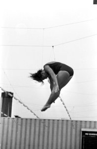 Schoonspringen dames, 3 meter, kampioene Mariette Dommers in actie, Bestanddeelnr 921-5708