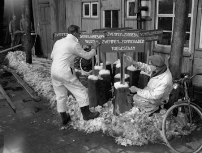 Schilderen van borden in het Amsterdamse Bos, Bestanddeelnr 909-3675