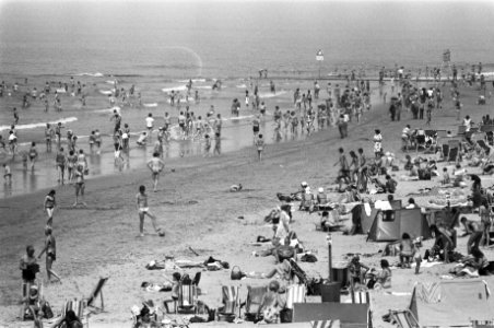 Scheveningen-strand, stranddrukte, Bestanddeelnr 928-6605