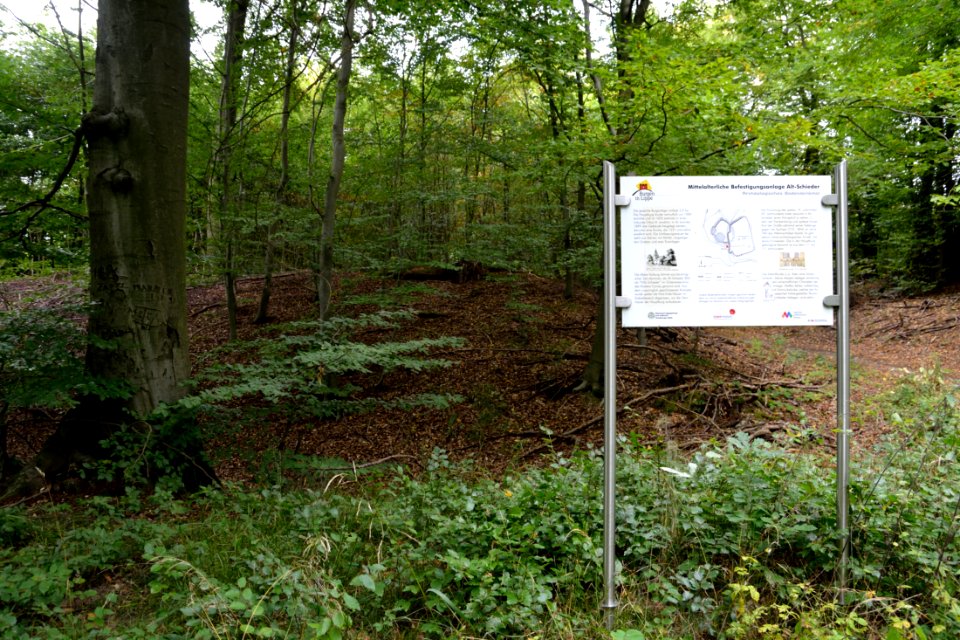 Schieder-Schwalenberg - Befestigungsanlage Alt Schieder (3)