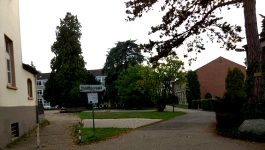 Schiefbahnl 2018 06
