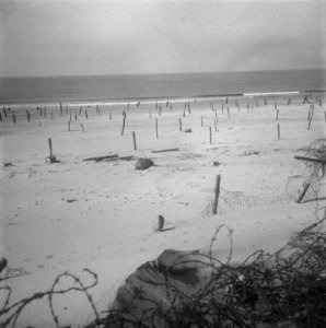 Scheveningen, overzicht van de strand en boulevardversperringen Atlantikwall, Bestanddeelnr 900-6890