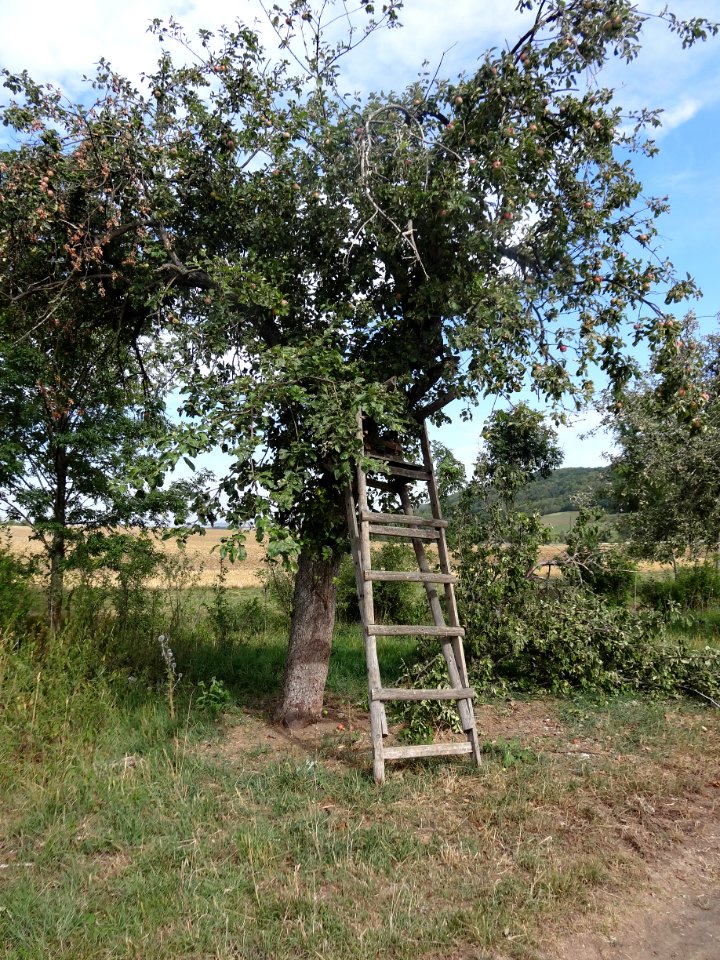 Schießstand in Thüringen 4