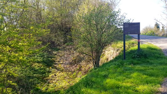Schin op Geul-Groeve Keutenberg (10)