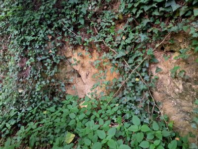 Scheulder-Scheuldergroeve III (10)
