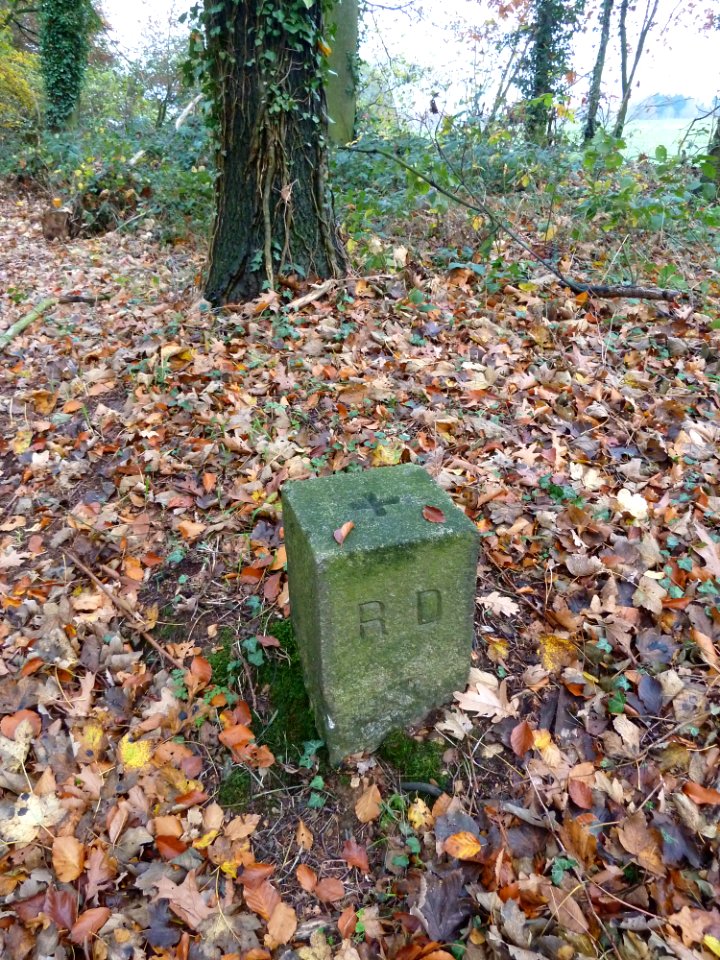 Schin op Geul-Goudsberg (2)