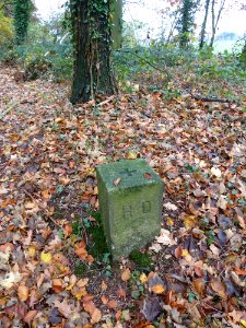 Schin op Geul-Goudsberg (2)