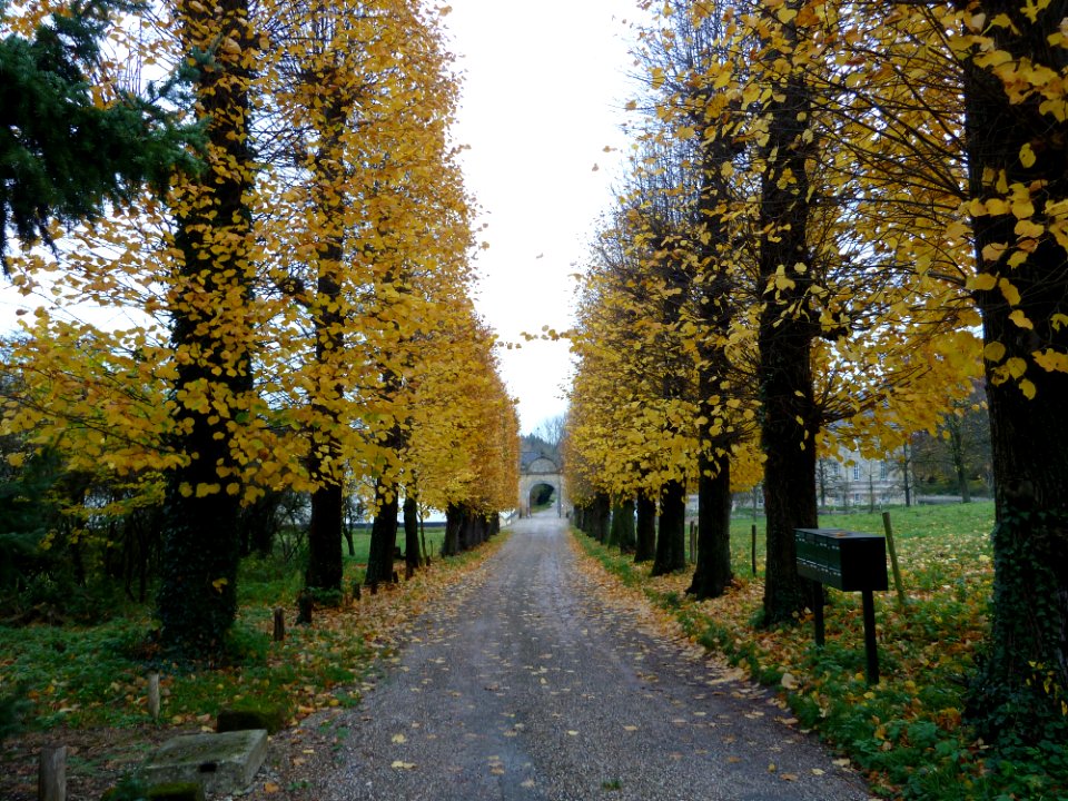 Schin op Geul-Kasteel Genhoes (1)