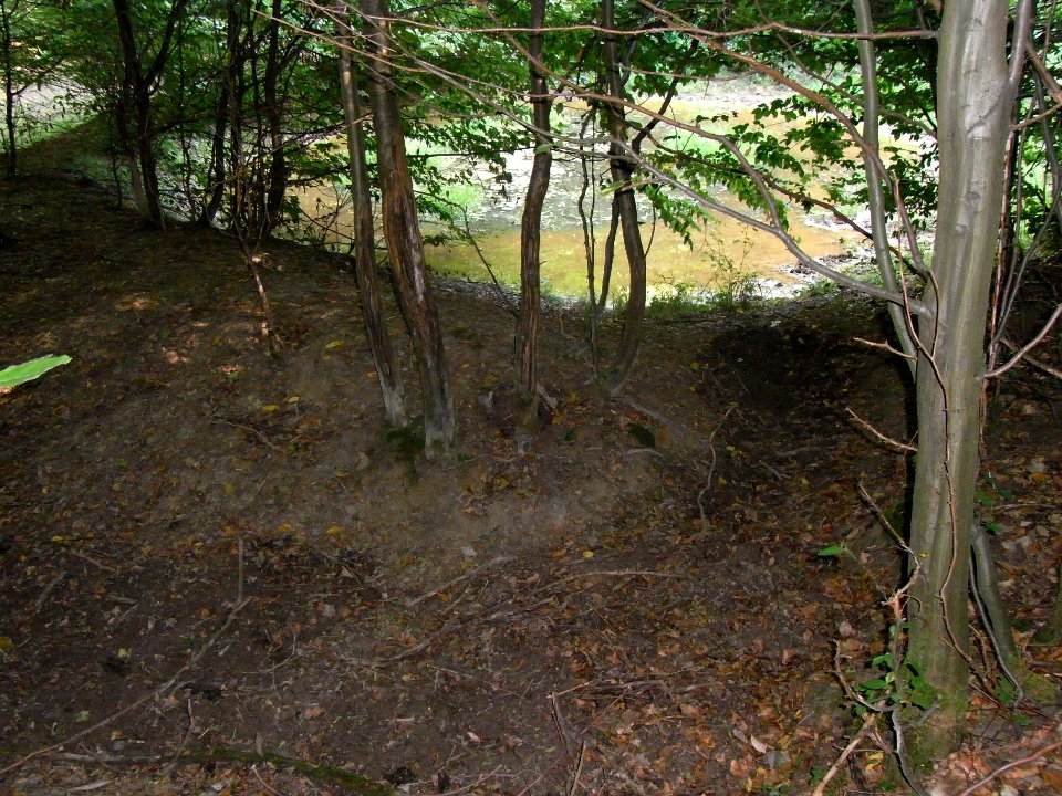 Schiefertal Graben Teich ober 5