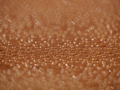 Circle dew drops