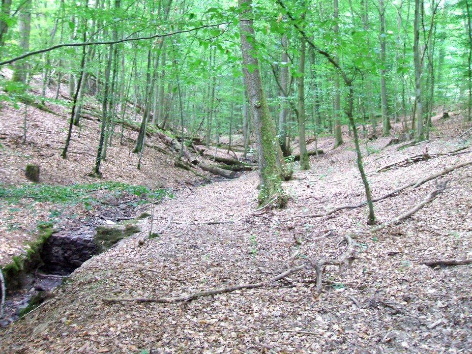 Schiefertalbach Staumauer