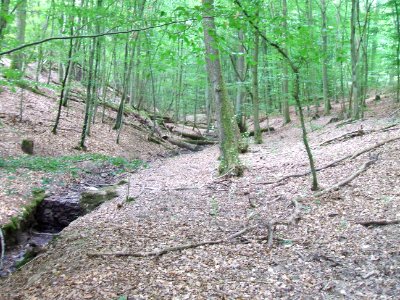 Schiefertalbach Staumauer