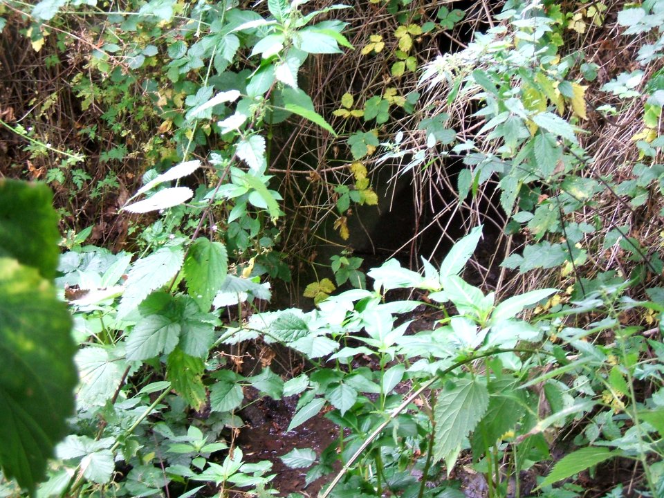 Schiefertalbach Auslass unter B 275