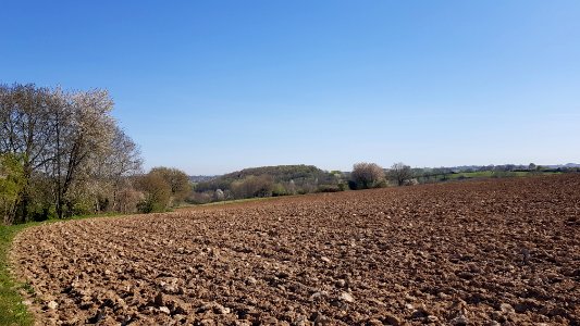 Schin op Geul-Sousberg (16)