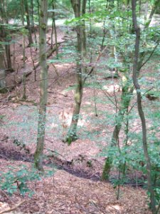 Schiefertalbach im Kerbtal Überblick