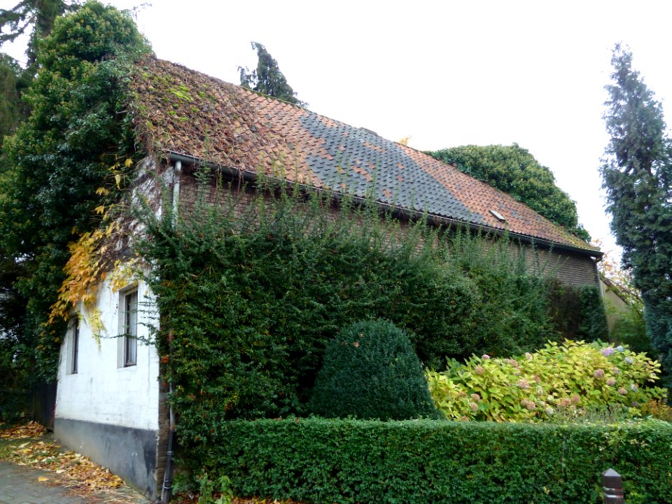 Schin op Geul-Graafstraat 9 (2)