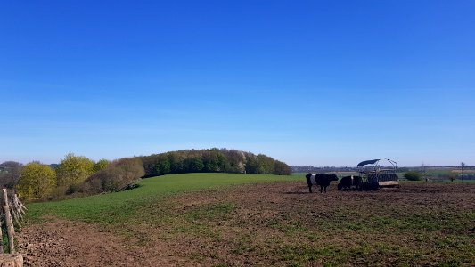 Schin op Geul-Sousberg (14)
