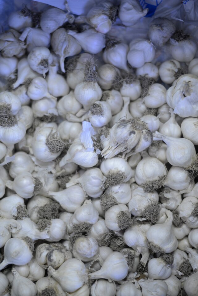 Garlic romania shop