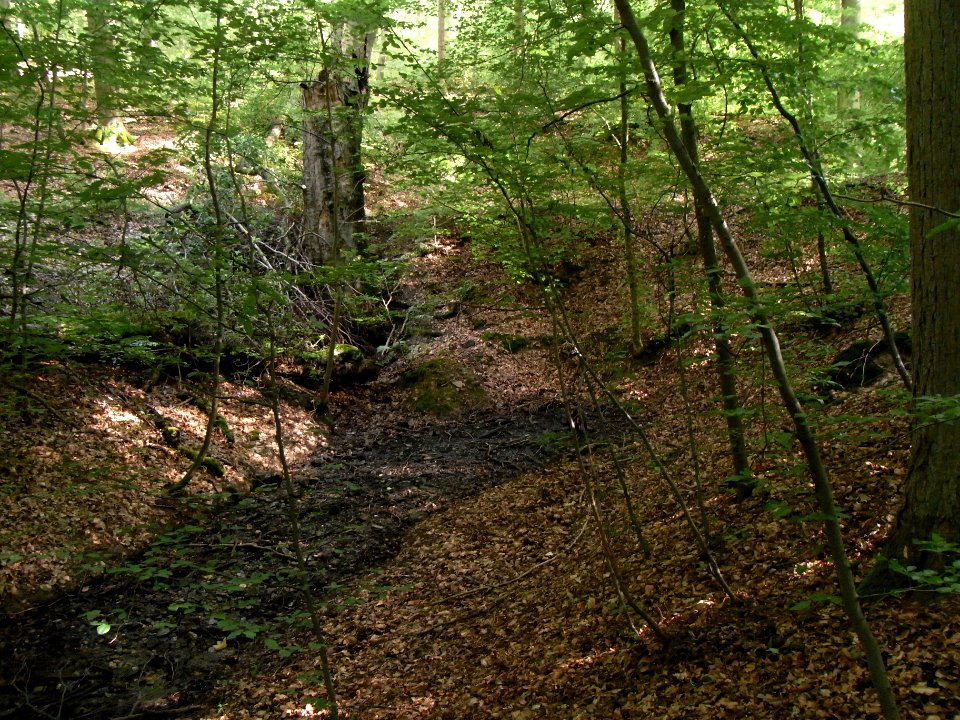 Schiefertalbach Quelle