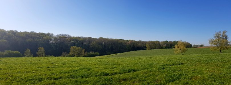 Scheulder-Scheuldergroeve (4)