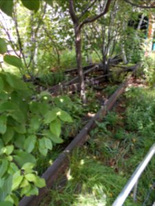 Schienen High Line