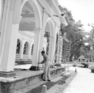 Schilders bij het Gouvernementspaleis aan het Gouvernementsplein in Paramaribo, Bestanddeelnr 252-2283