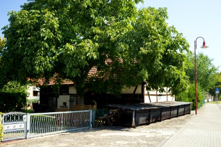 Scheune Pfarrweg 1, Uhyst (2)
