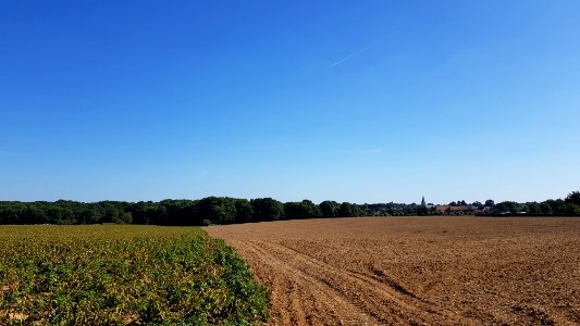 Scheulder-Scheuldergroeve (3)