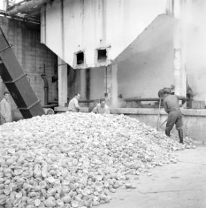 Schillen van de uitgeperste citrusvruchten van de citrussapfabriek Assis aan de , Bestanddeelnr 255-1258