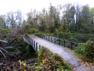 Schin op Geul-Betonviaduct Molenweg (3)