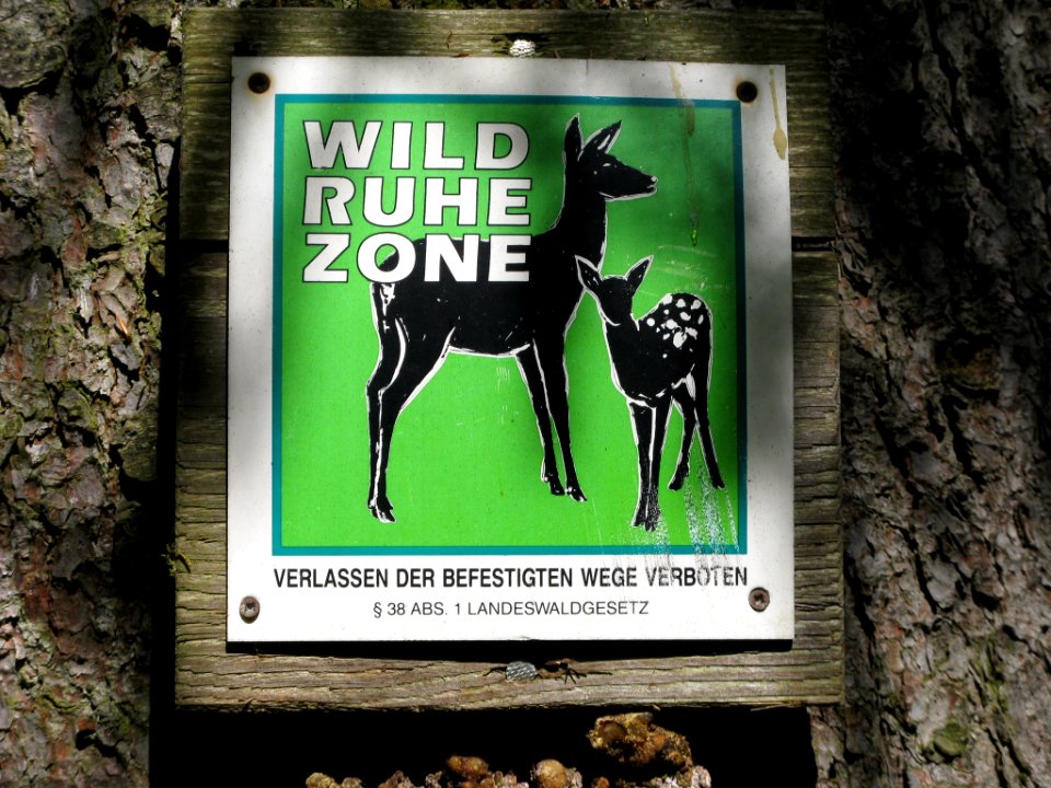Schild Wildruhezone Schönbuch