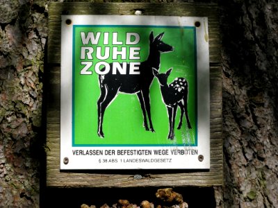 Schild Wildruhezone Schönbuch