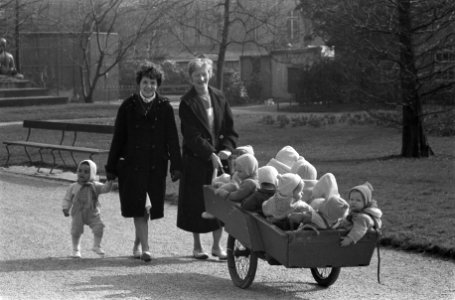 Schilders in Artis in een kooi aan het schilderen, kinderen in Artis, Bestanddeelnr 911-1279