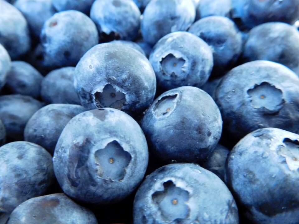 Fresh fresh fruits blue food