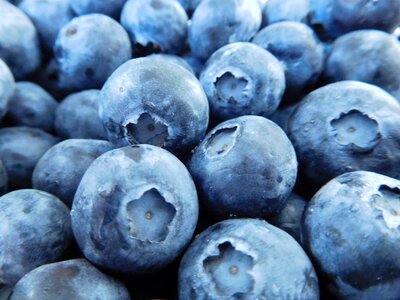 Fresh fresh fruits blue food