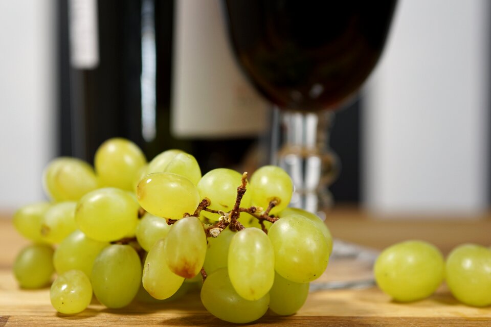 Fruit vine red wine