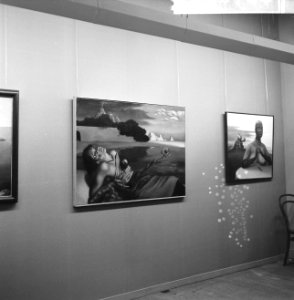 Schilderijententoonstelling in Fodor Museum, Bestanddeelnr 918-6768