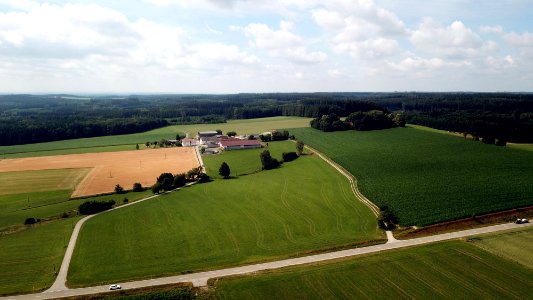 Scherstetten, Geiselhof