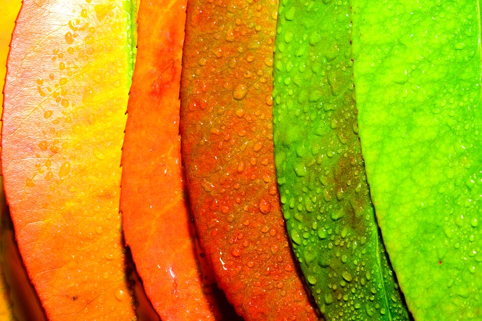 Arty autumn background