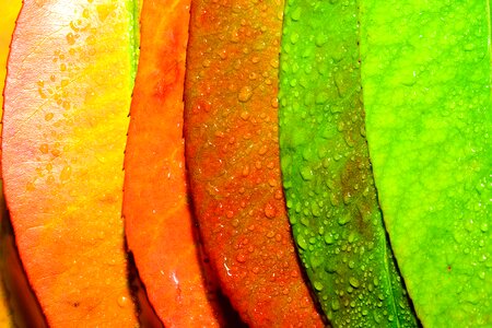 Arty autumn background
