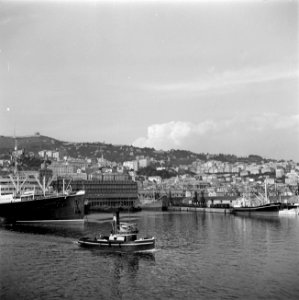 Schepen in de haven van Genua, Bestanddeelnr 255-0219
