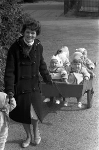 Schilders in Artis in een kooi aan het schilderen, kinderen in Artis, Bestanddeelnr 911-1281