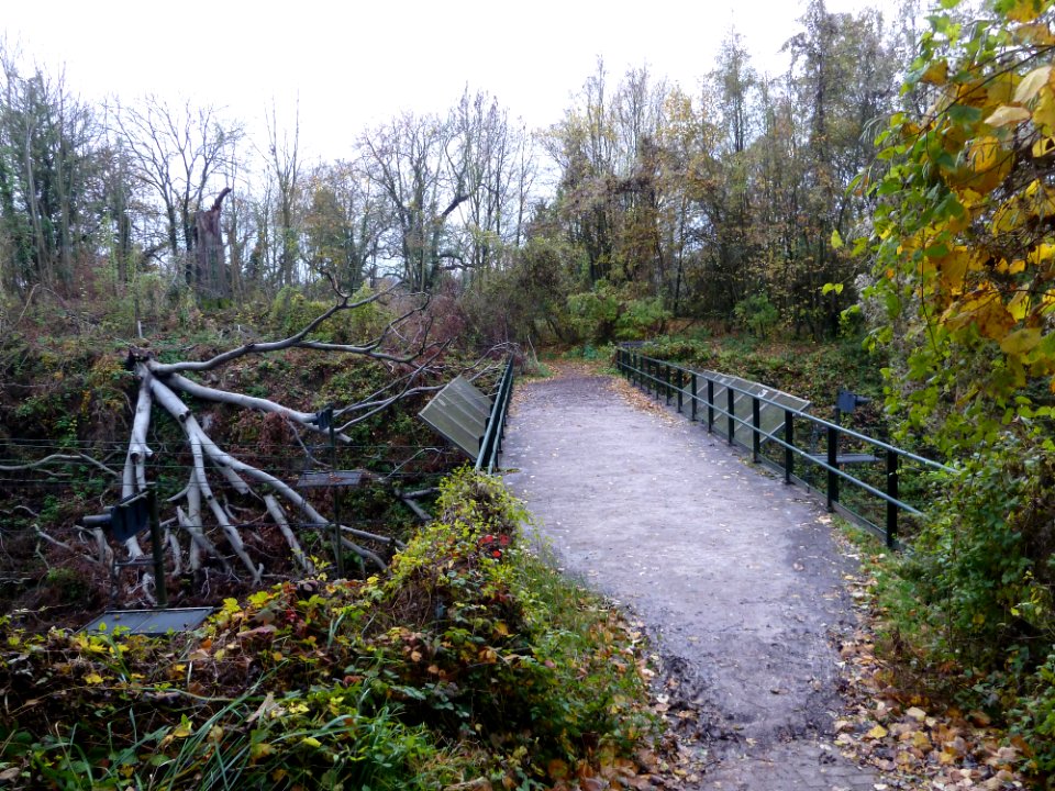 Schin op Geul-Betonviaduct Molenweg (4)