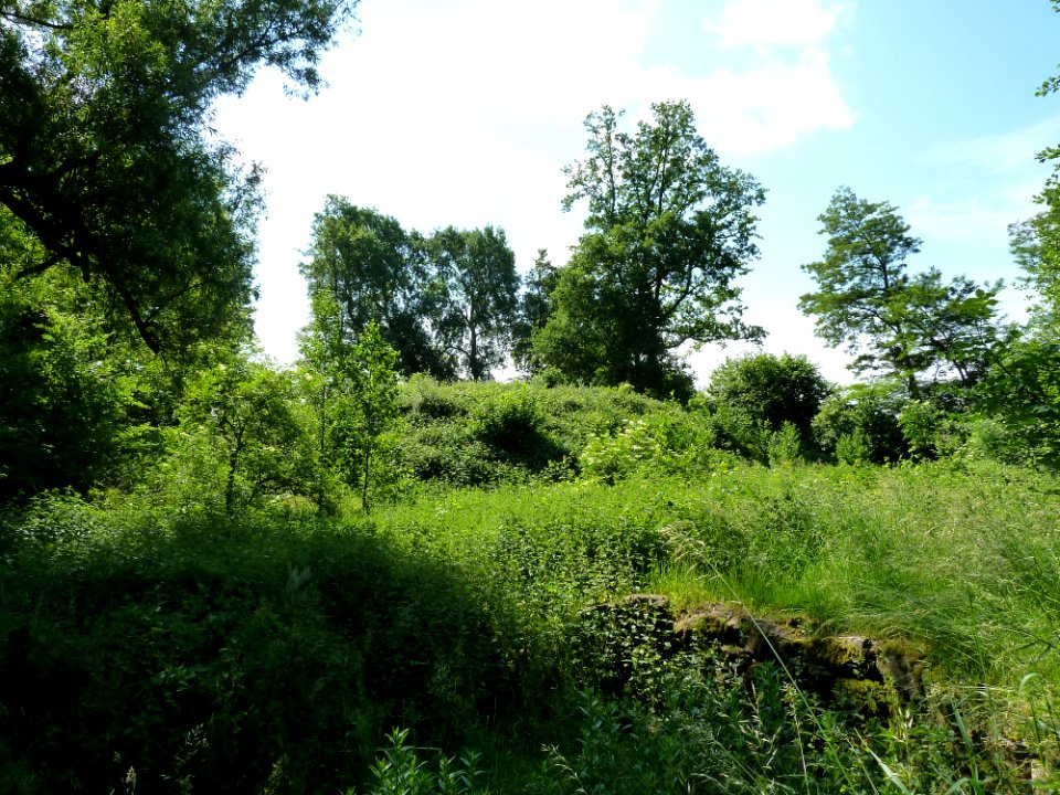 Schinveld-De Vossenberg (2)