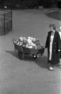 Schilders in Artis in een kooi aan het schilderen, kinderen in Artis, Bestanddeelnr 911-1280